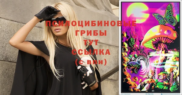 spice Кукмор